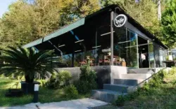 هتل بوتیک کچا رشت - نمای محوطه