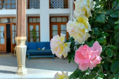 اقامتگاه سنتی بخردی اصفهان - نمای محوطه