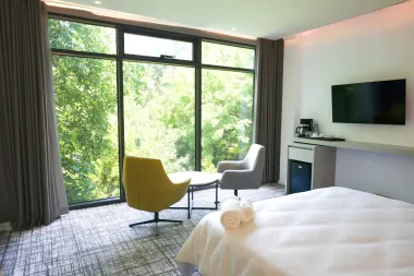 هتل رونیاس شیراز - نمای اتاق