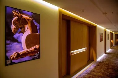 هتل هدیش شیراز - راهرو