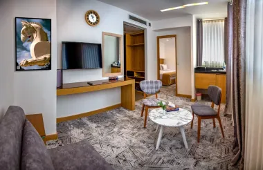 هتل هدیش شیراز - نمای اتاق