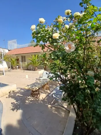 هتل آناهیتا شیراز - نمای محوطه