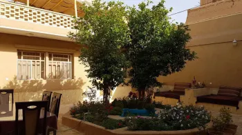 اقامتگاه بومگردی جنگل یزد - نمای محوطه