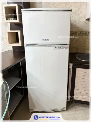 هتل آپارتمان محمدی مشهد - امکانات اتاق (یخچال)