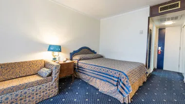 هتل بین المللی لاله تهران - نمای اتاق