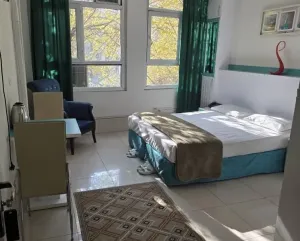 هتل اخوت تهران - اتاق 2 تخته (1 تخت 2 نفره)