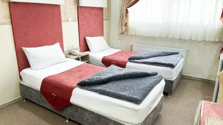 هتل آوا پلاس اصفهان - اتاق 2 تخته (2 تخت 1 نفره)