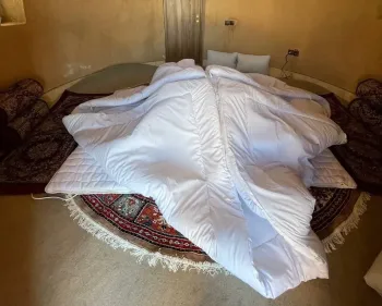 اقامتگاه سنتی مشجری انارک نائین - نمای اتاق