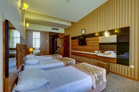 هتل سی نور مشهد - اتاق 3 تخته (3 تخت 1 نفره)