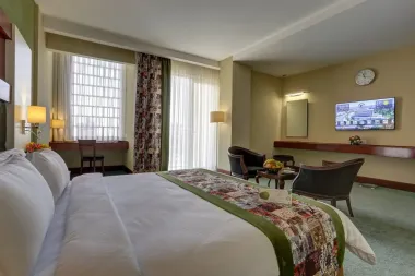 هتل بین المللی هما 1 مشهد - نمای اتاق