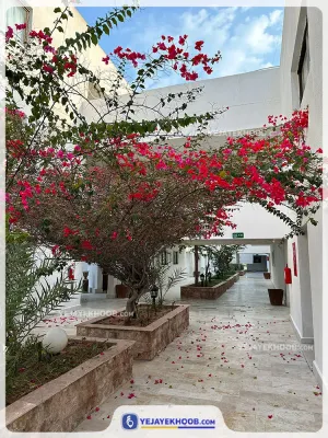 هتل آبادگران کیش - فضای باز