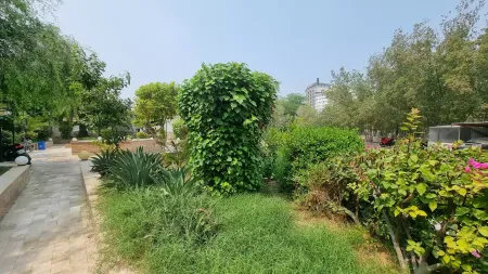 هتل آرامش کیش - فضای باز