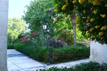 هتل ارم کیش - فضای باز