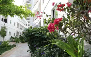 هتل پانیذ کیش -  نمای بیرونی هتل