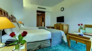 هتل هما بندر عباس -  نمای اتاق
