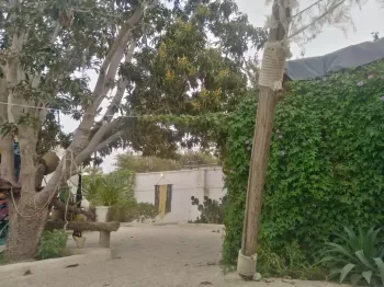 اقامتگاه بومگردی جمبو هرمز - نمای محوطه