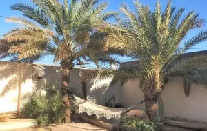 اقامتگاه بومگردی خانه کوچ هرمز - محوطه