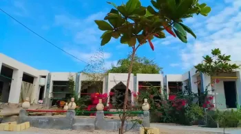 اقامتگاه بومگردی ناخدا علی قشم - نمای محوطه