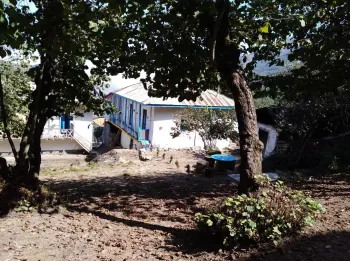 اقامتگاه بومگردی ننه کلثوم رامسر - نمای محوطه