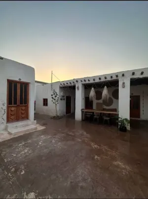 اقامتگاه بومگردی نور هرمز - نمای محوطه