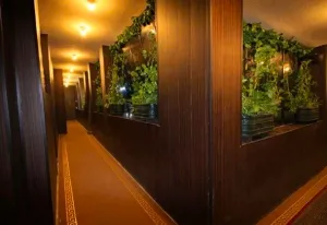 مهمانپذیر زند شیراز - راهرو