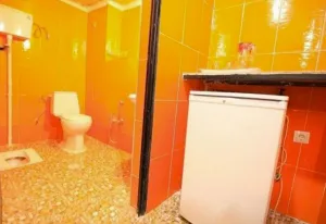 مهمانپذیر زند شیراز - سرویس بهداشتی