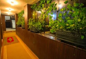 مهمانپذیر زند شیراز - راهرو