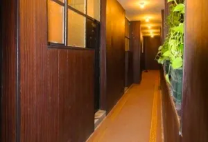 مهمانپذیر زند شیراز - راهرو