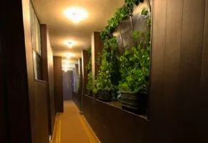 مهمانپذیر زند شیراز - راهرو