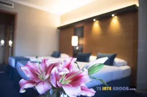 هتل آسیا مشهد - اتاق ۳ تخته (۱ تخت ۲ نفره و ۱ تخت ۱ نفره)    