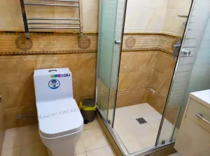 هتل آماتیس تهران - سرویس بهداشتی و حمام