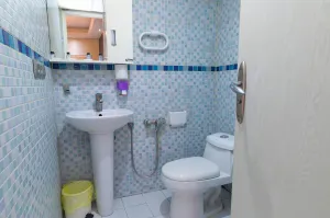 هتل آپادانا تهران - سرویس بهداشتی