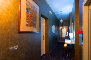 هتل آپادانا تهران - راهرو