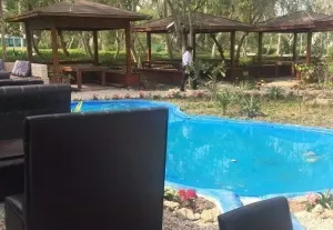 هتل اسپادانا کیش - فضای سبز