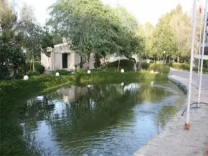 هتل اسپادانا کیش - فضای سبز