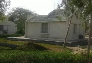 هتل اسپادانا کیش - فضای سبز