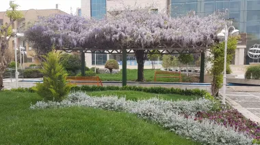 هتل بزرگ میثاق ملل مشهد - محوطه بیرونی