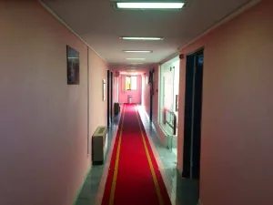 هتل دانش تهران - راهرو