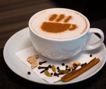 هتل عالی قاپو اصفهان - منوی نوشیدنی