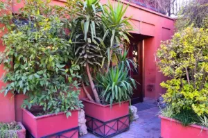 هتل مشهد تهران - محوطه بیرونی