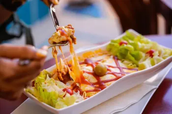 اقامتگاه سنتی میناس اصفهان - منو بوفه رستوران (لازانیا)