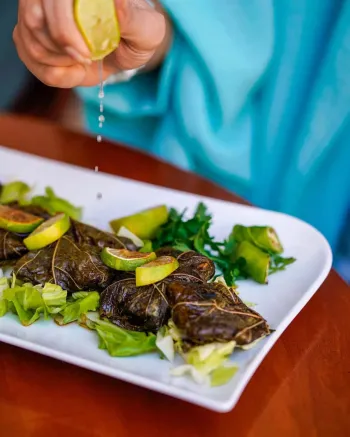 اقامتگاه سنتی میناس اصفهان - منو بوفه رستوران (دلمه)