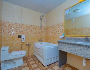 هتل پارک سعدی شیراز - سرویس بهداشتی و حمام