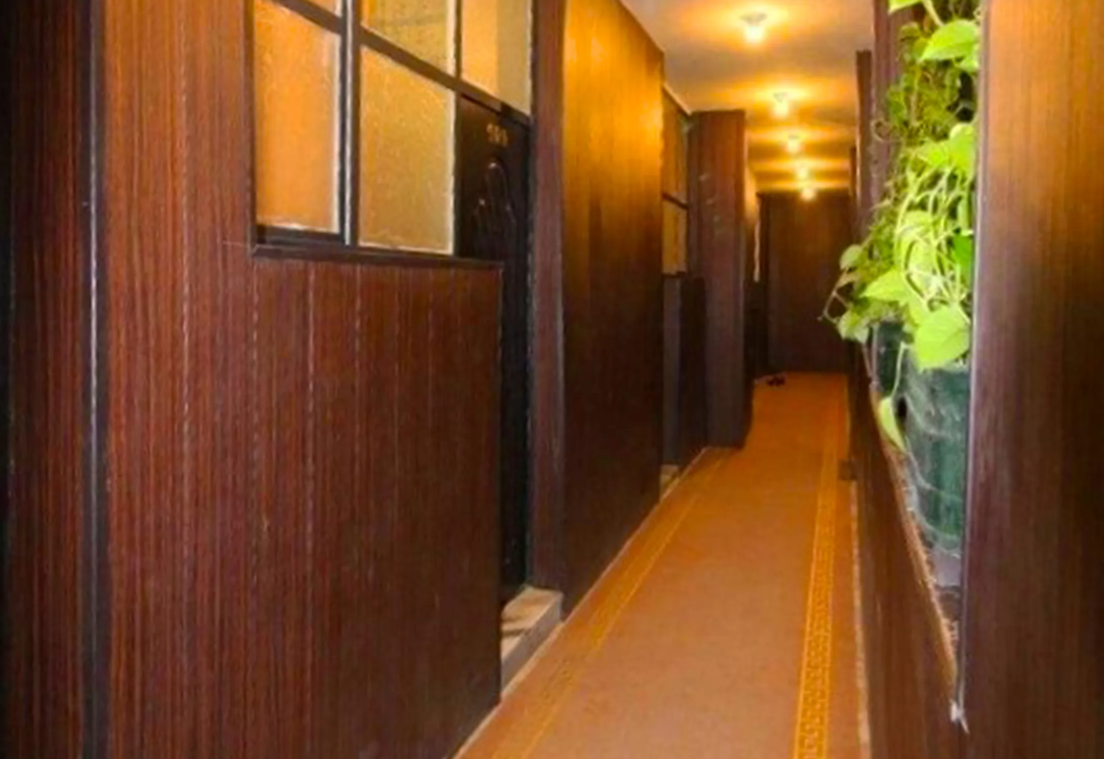 مهمانپذیر زند شیراز - راهرو