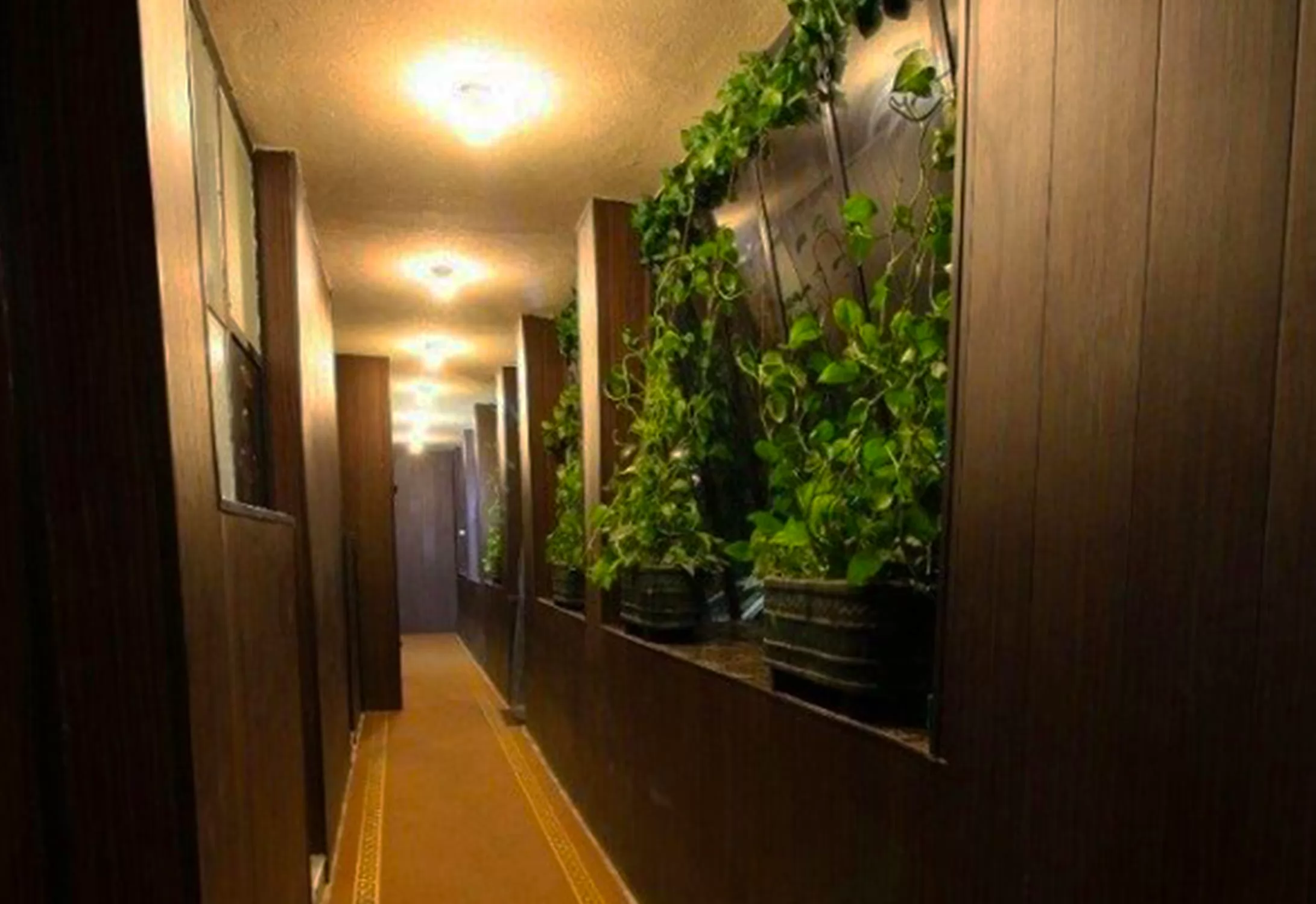 مهمانپذیر زند شیراز - راهرو