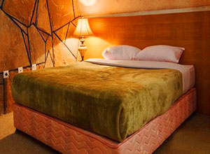 هتل ایرانگردی جهانگردی میگون تهران