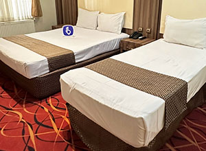 هتل پرستاره مشهد