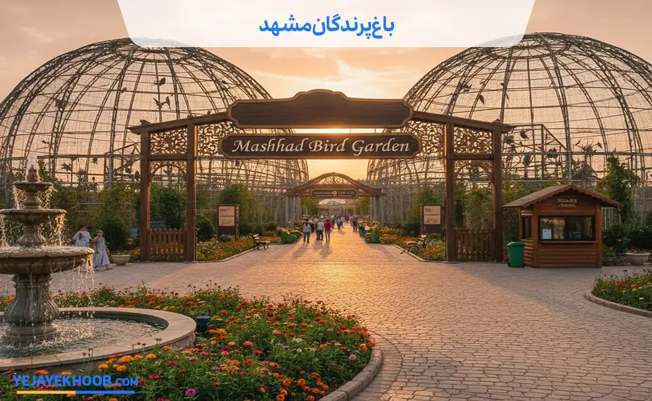 عکس مقالهباغ پرندگان مشهد | آدرس دقیق، ساعت بازدید و تصاویر دیدنی