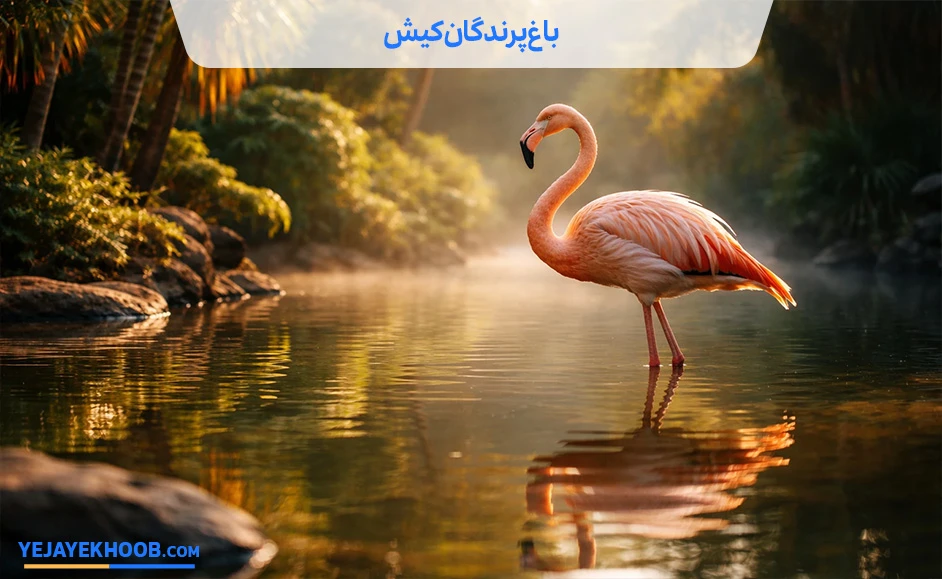 تصویر باغ پرندگان کیشمی باشد 