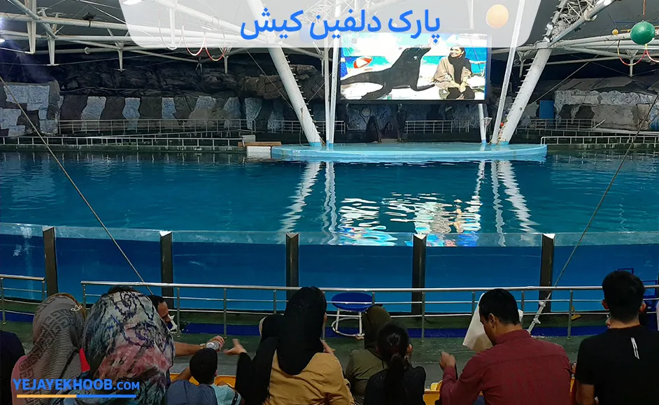 تصویر پارک دلفین کیشمی باشد 